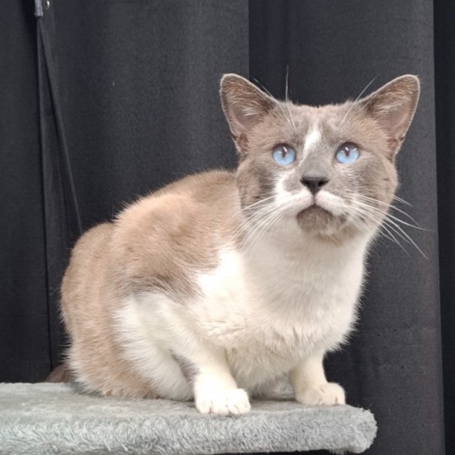 Photo of Patches