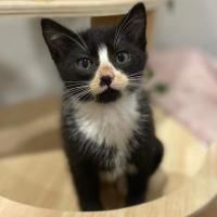 Photo of Mr Moo