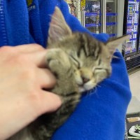 Photo of Spunky Spud