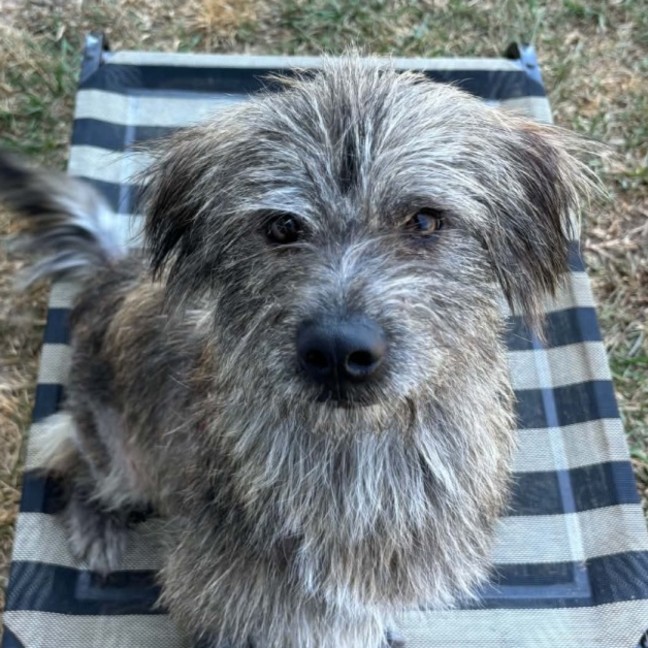 Photo of Posie