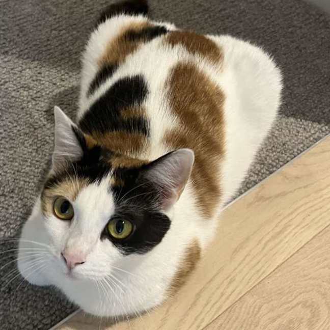 Photo of Cali & Penny💗