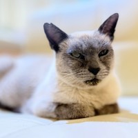 Photo of Audrey