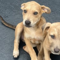 Photo of Payton ⭐️🌈🦋