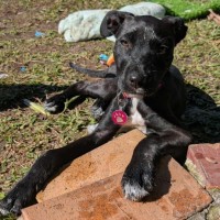 Photo of Esme