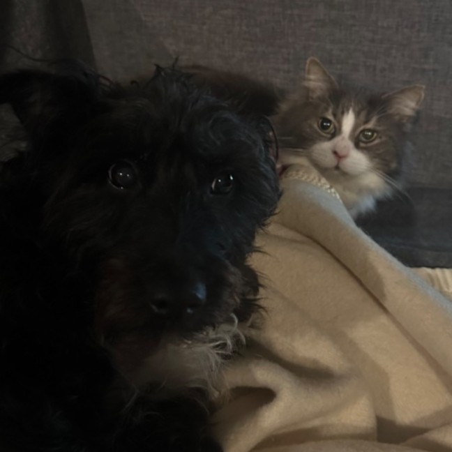 Photo of Mr Fluffaluffagus