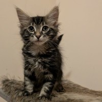 Photo of Will
