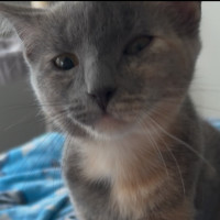 Photo of Baby & Blossom 