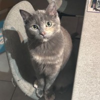 Photo of Miss Ivy May 🌱 