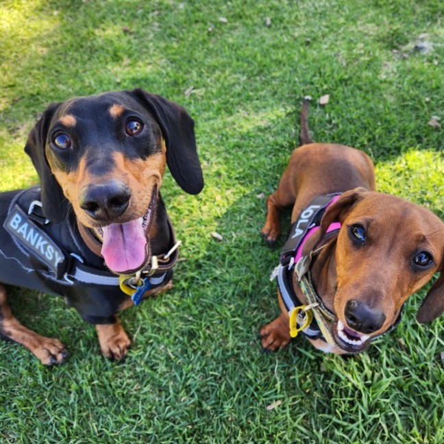 Photo of Lola And Banksy