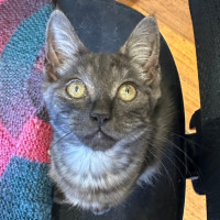 Photo of Lara