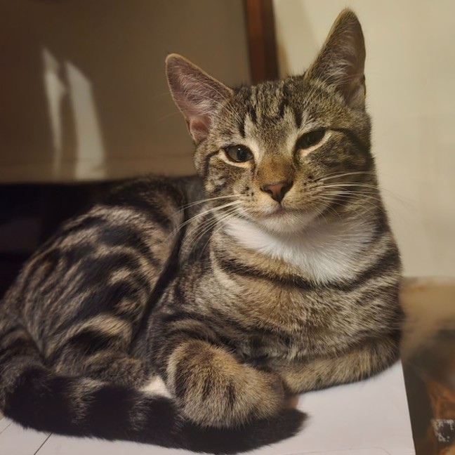 Photo of Bill