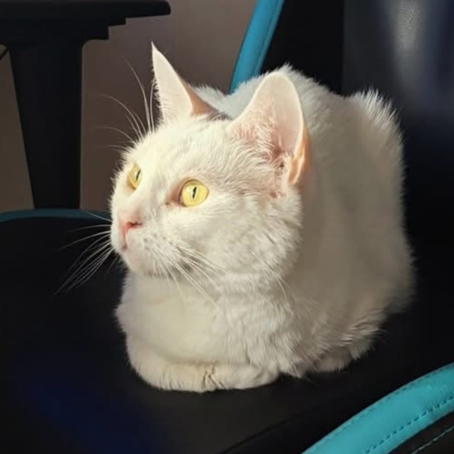 Photo of Chloe Belle 