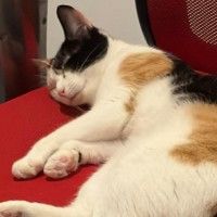 Photo of Betty 