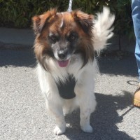 Photo of Bodie