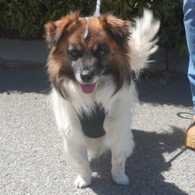 Photo of Bodie