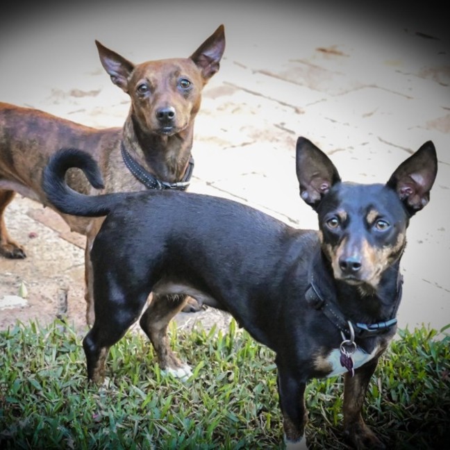 Photo of Jasmine & Bluebell