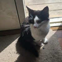 Photo of Fantasma