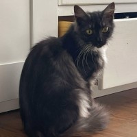 Photo of Mitzi