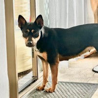 Photo of Winnie