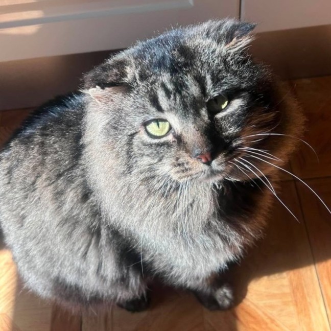 Photo of Leo