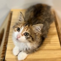 Photo of Angela Anaconda