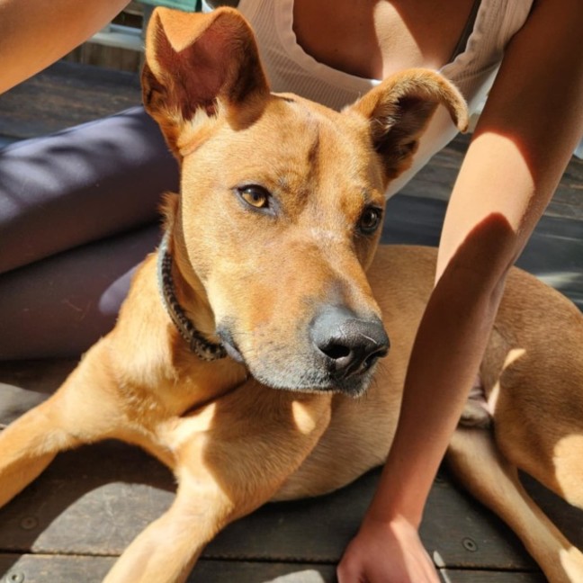 Photo of Flynn