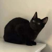 Photo of Zuko 