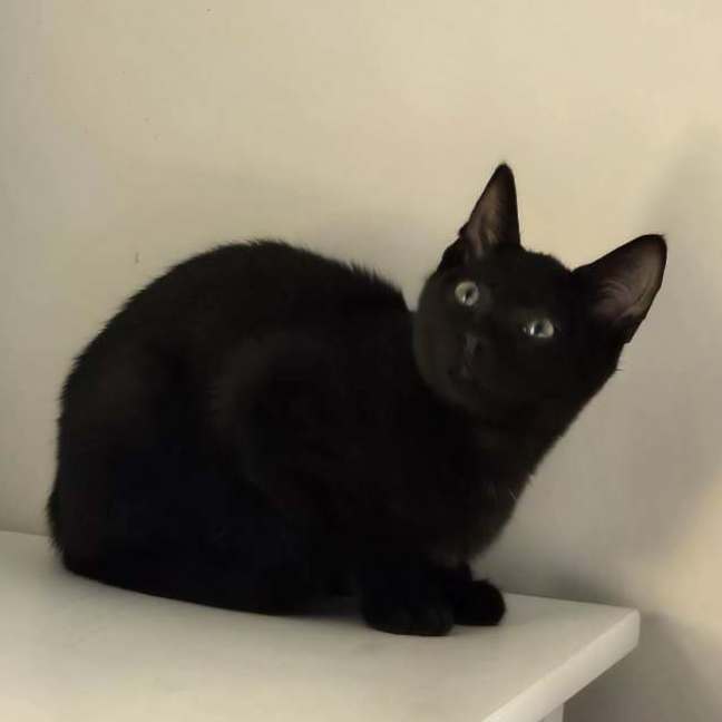 Photo of Zuko 