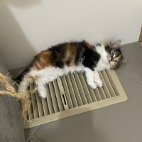 Photo of Maxine