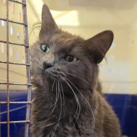 Photo of Storm