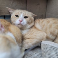 Photo of Hulio ☀️