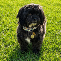 Photo of Lando