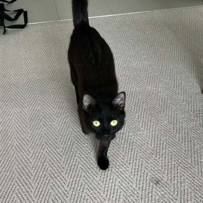 Photo of Elsie 