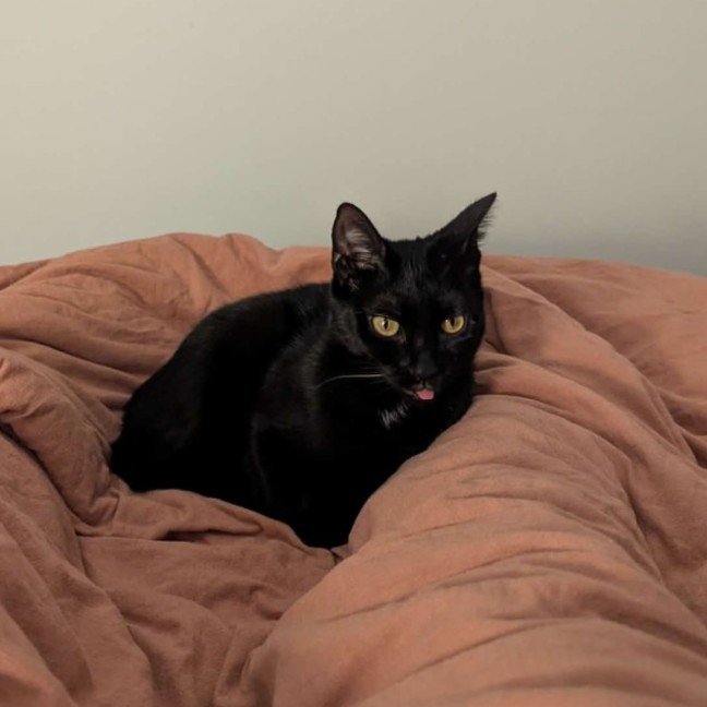 Photo of Daria