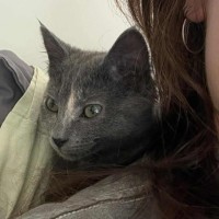 Photo of Maeve 