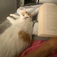 Photo of Wiggles 🐛