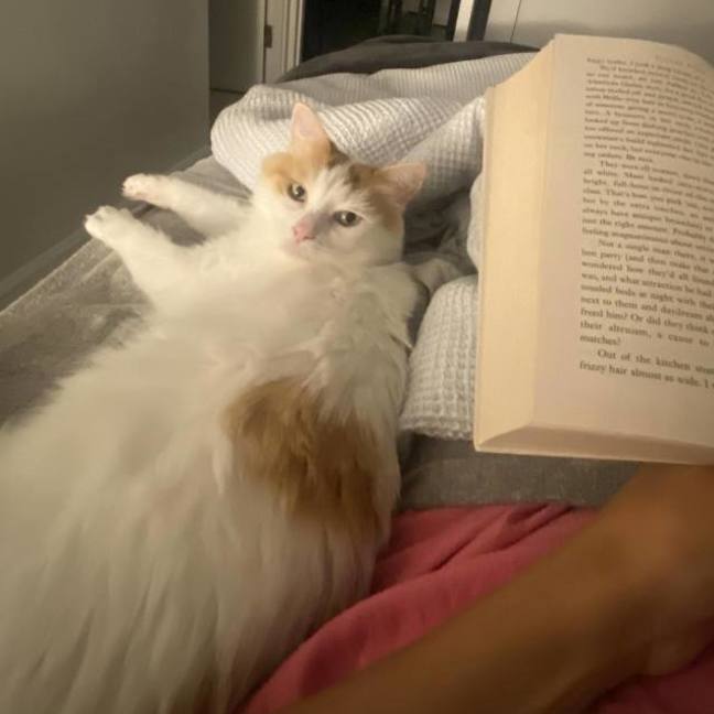 Photo of Wiggles 🐛