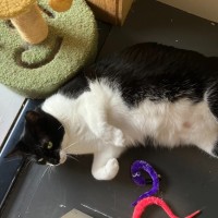 Photo of Cleopatra