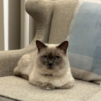 Photo of Louie