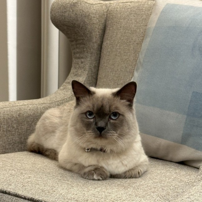 Photo of Louie