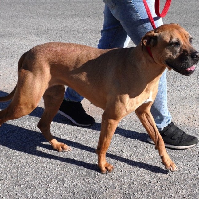 Photo of Sienna
