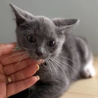 Photo of Buzz