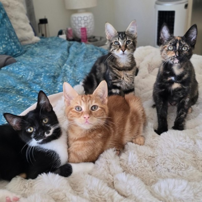 Photo of Bloom (Located In Wantirna South)