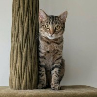Photo of Biff Tannen