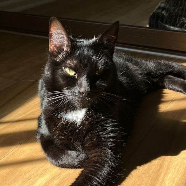 Photo of Caspian