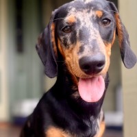 Photo of Ricky