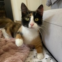 Photo of Marble   Meet Me @ Petstock Prahran