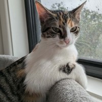 Photo of Jade 