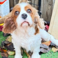 Photo of Katie