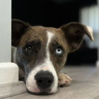 Photo of Cleo